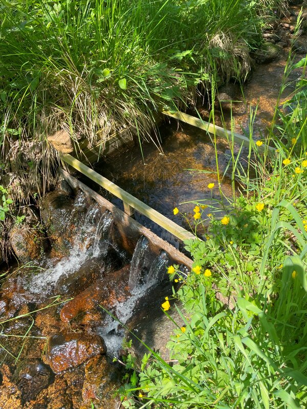 Dispositif dans le lit de la rivière à l'exutoire pour le prélèvement des sédiments